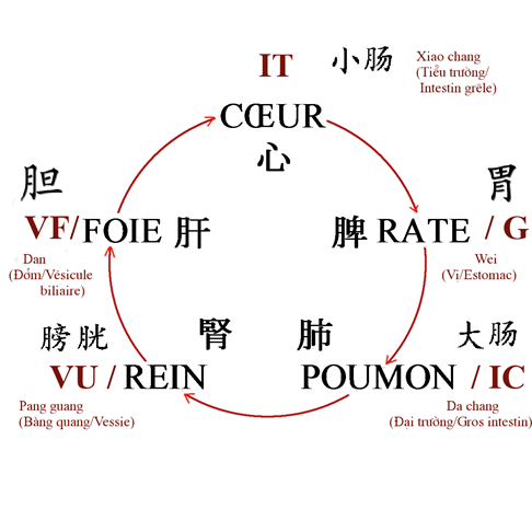 Five energetic orbis