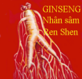 l'image d'une racine de ginseng (ren shen)