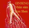 ginseng